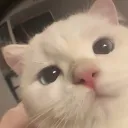odsu_