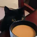 decafflesbian