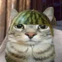 .melomvrfrfr