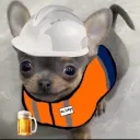 vazquez0768_30185 avatar