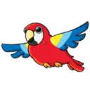 .parrot6