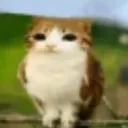 adofan1._89628 avatar