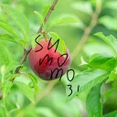 sumomo_122_3のアバター