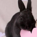 avatar ˚ʚLxvestruck astra's wifeɞ˚