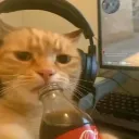 strelmedohlavy avatar