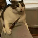 paytowin6287g avatar