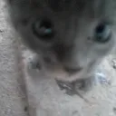 jae_9995_08724 avatar