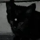 explosivesalsa.