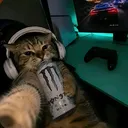 sentyxfr