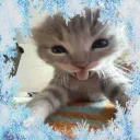 frosty_like_tht
