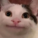 beluga25529 member profile picture