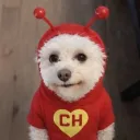 cr_nerdola.
