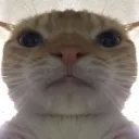 mr.alien0463_76214 avatar