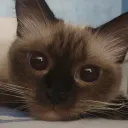 yuumi1969