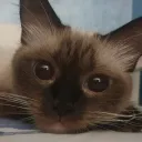 yuumi1969