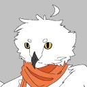 falcon_wildpaws