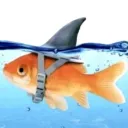 Аватар cool_komaz12