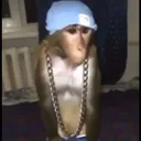 nadoin