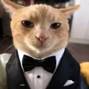 xiba0083_55003 avatar