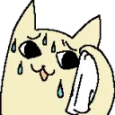 .catsweat.