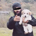 dr_saraqall