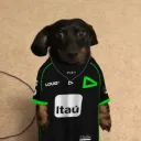 souzajnr77