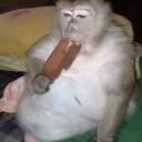 aderik33_84364 avatar