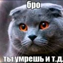 Аватар danon04416