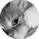 avatar Bochita