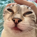 PVT.Prof Caticorn
