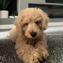 2legaccy
