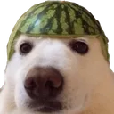 manchili