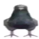 kryyki