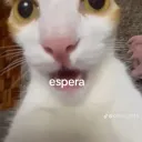 victorrrrrrrr0397 avatar