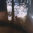 hisl0nelystarrr's avatar