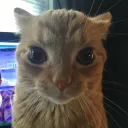 superbobbygaming