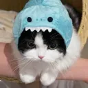 cheemspookiealt