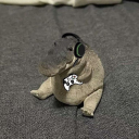 terimaakichut1's Avatar