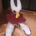 theactualrealalexander