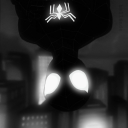 avatar Allo seleem ❌