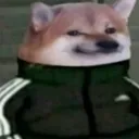 elpajitaslocas0048 avatar