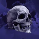 bulletrebel