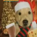 pablogamer2015 avatar