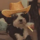 kaymaii