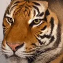 Аватар sigmooo0027