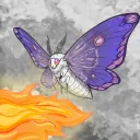shinysheila
