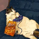 deluxe