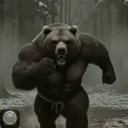 ours_du_fraca