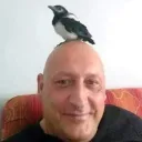 Аватар skibidi028918