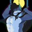 dcypherpup